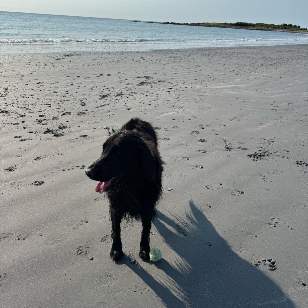 Meet your Posher, Victoria